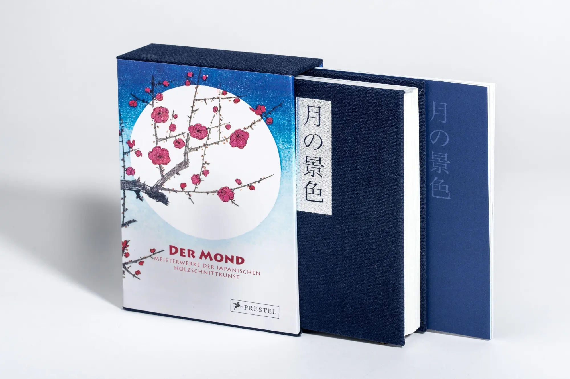 Bild: 9783791394657 | Der Mond | Anne Sefrioui | Buch | Kunst-Leporello | 172 S. | Deutsch