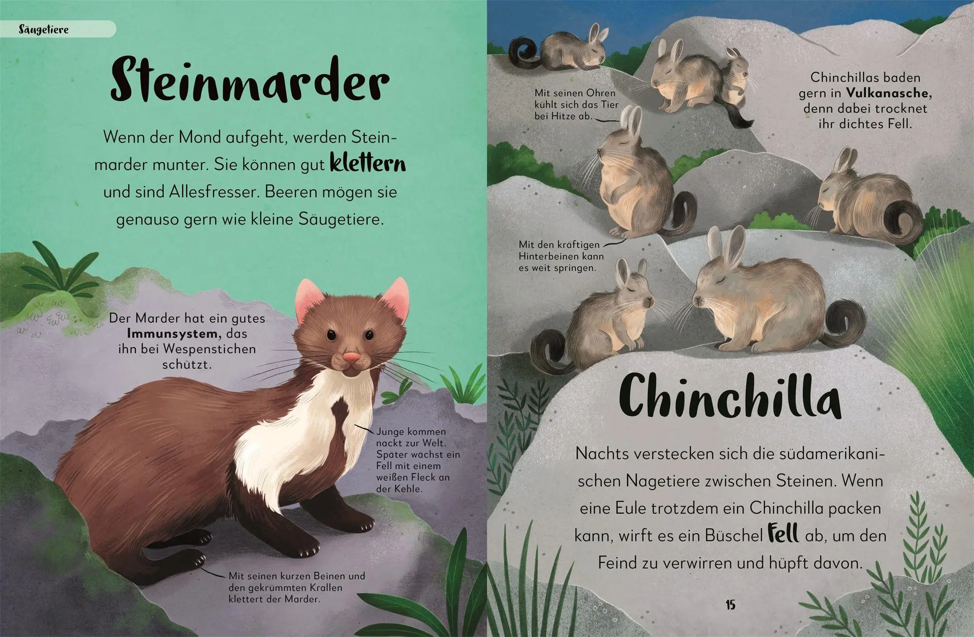 Bild: 9783831054657 | Mein liebstes Buch der Tiere der Nacht | Laura Buller | Buch | 144 S.
