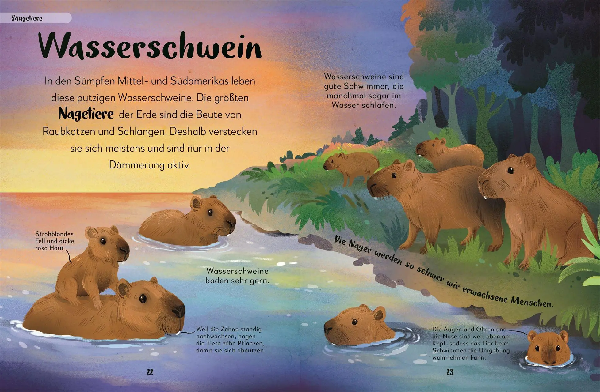 Bild: 9783831054657 | Mein liebstes Buch der Tiere der Nacht | Laura Buller | Buch | 144 S.