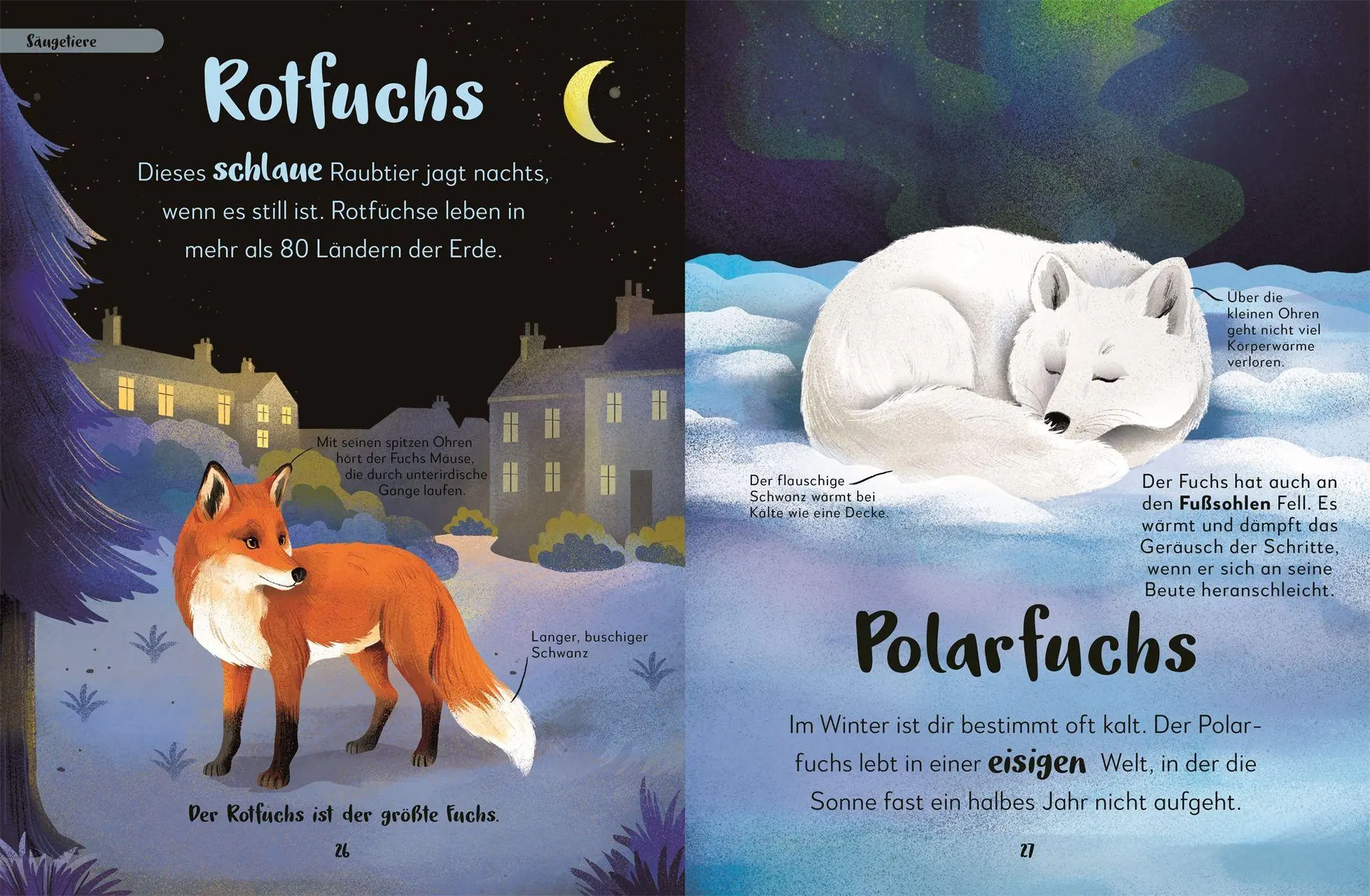 Bild: 9783831054657 | Mein liebstes Buch der Tiere der Nacht | Laura Buller | Buch | 144 S.