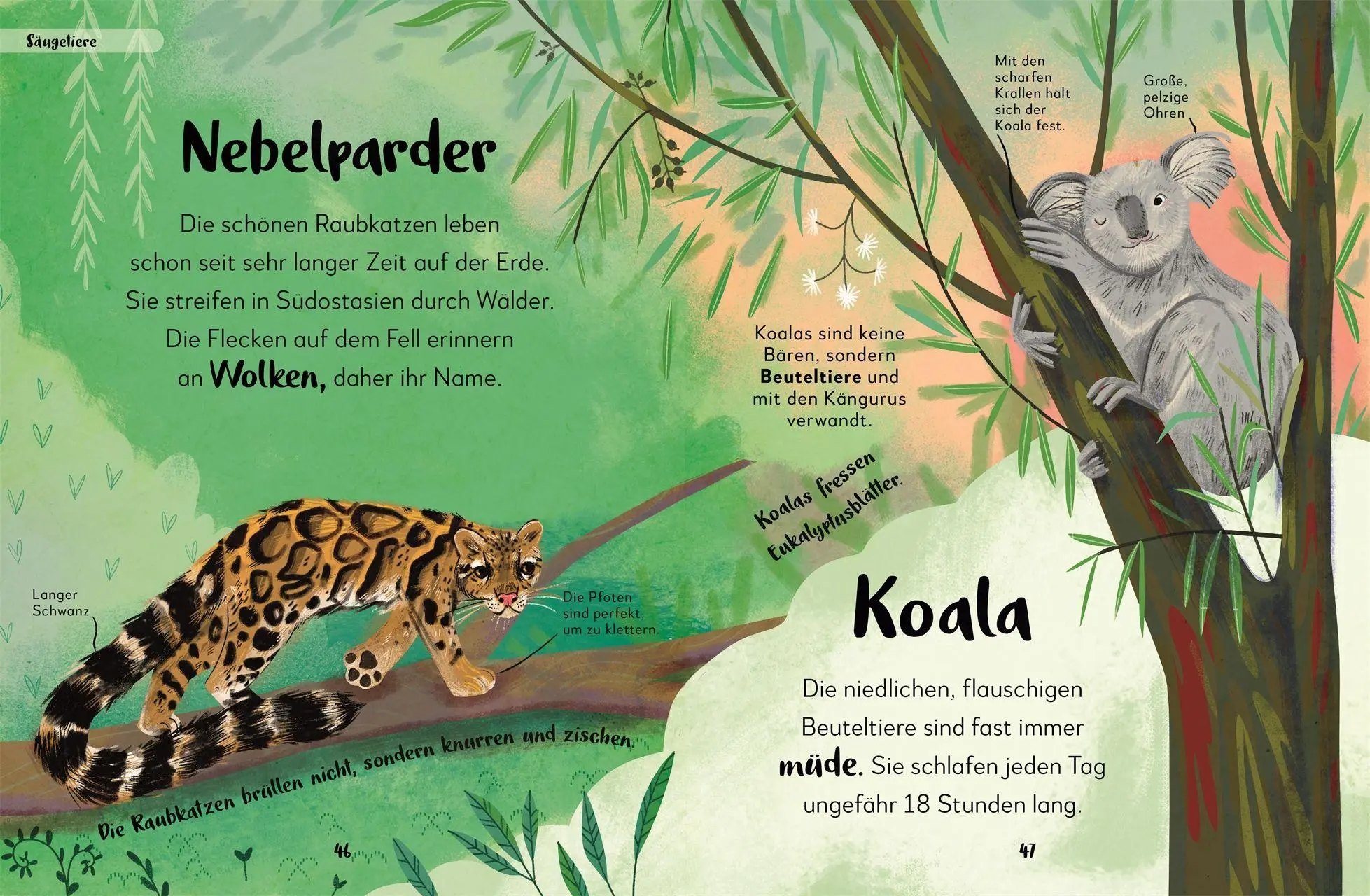 Bild: 9783831054657 | Mein liebstes Buch der Tiere der Nacht | Laura Buller | Buch | 144 S.