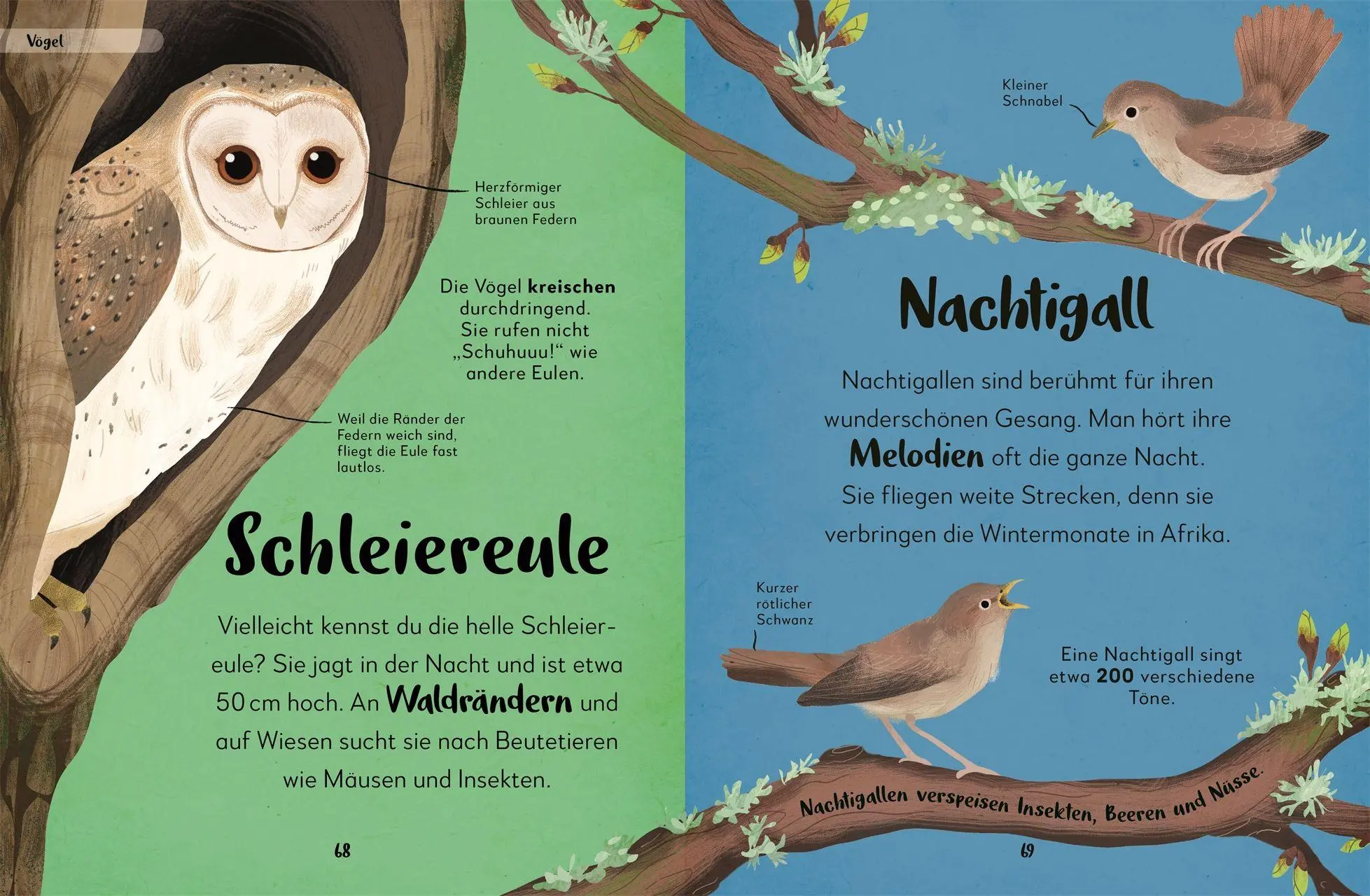 Bild: 9783831054657 | Mein liebstes Buch der Tiere der Nacht | Laura Buller | Buch | 144 S.