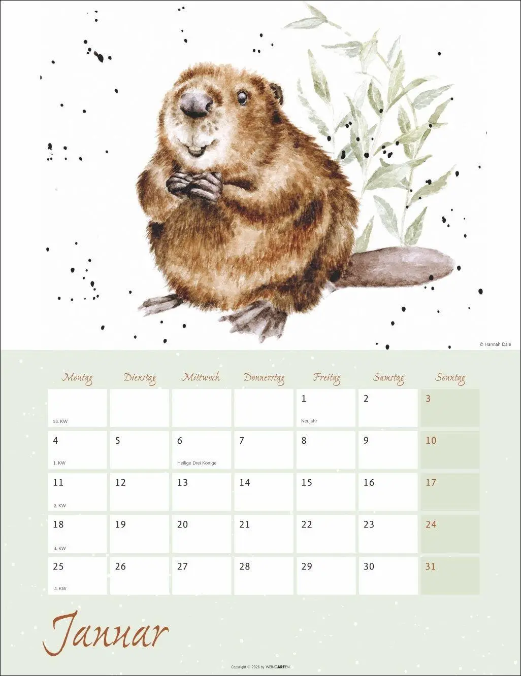 Bild: 9783839904657 | Country Life Kalender 2027 | Hannah Dale | Kalender | 14 S. | Deutsch
