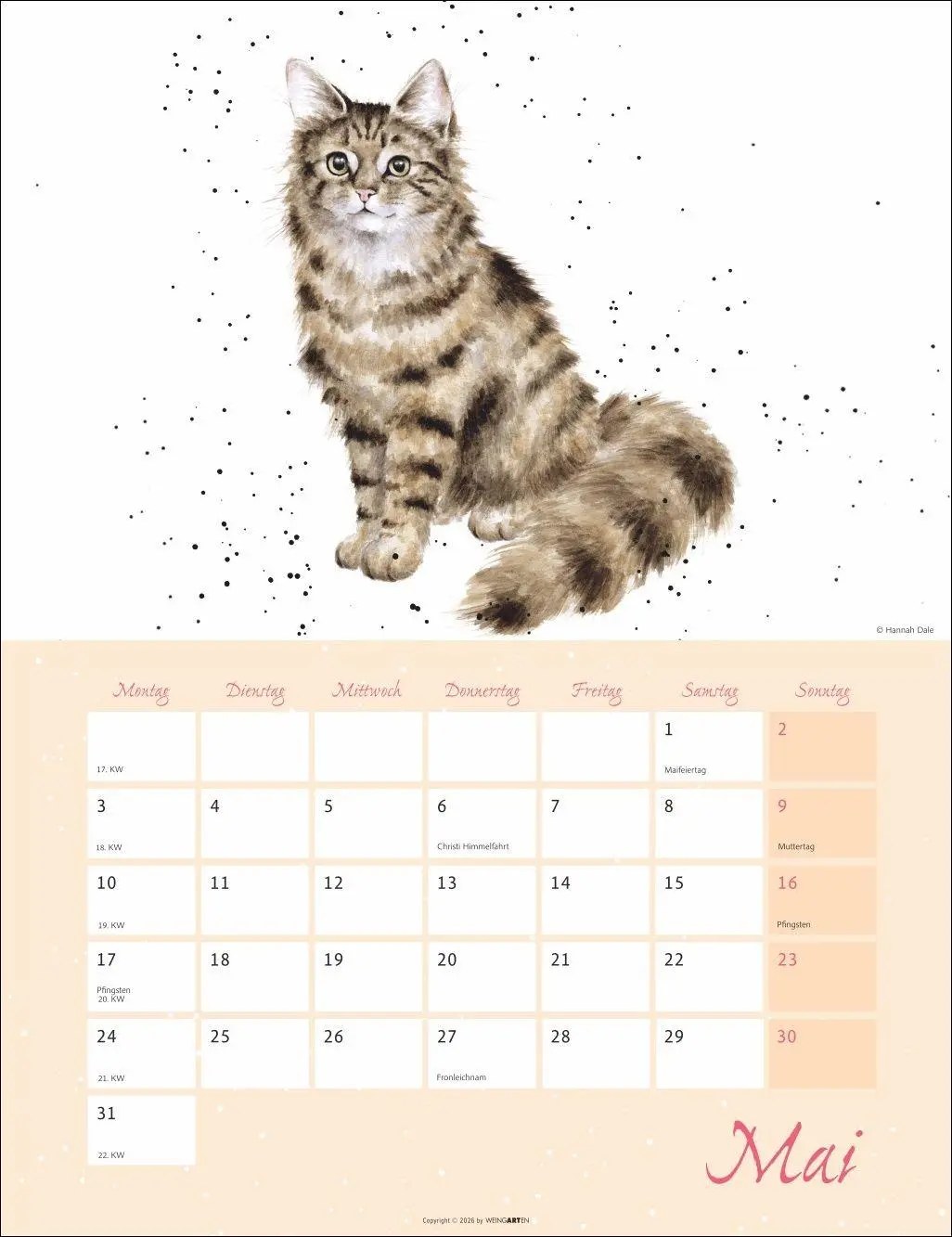 Bild: 9783839904657 | Country Life Kalender 2027 | Hannah Dale | Kalender | 14 S. | Deutsch