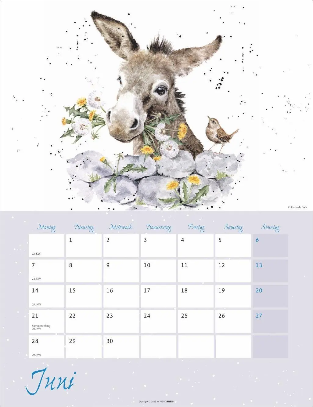 Bild: 9783839904657 | Country Life Kalender 2027 | Hannah Dale | Kalender | 14 S. | Deutsch