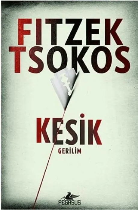 Cover: 9786254104657 | Kesik | Sebastian Fitzek (u. a.) | Taschenbuch | Türkisch | 2025