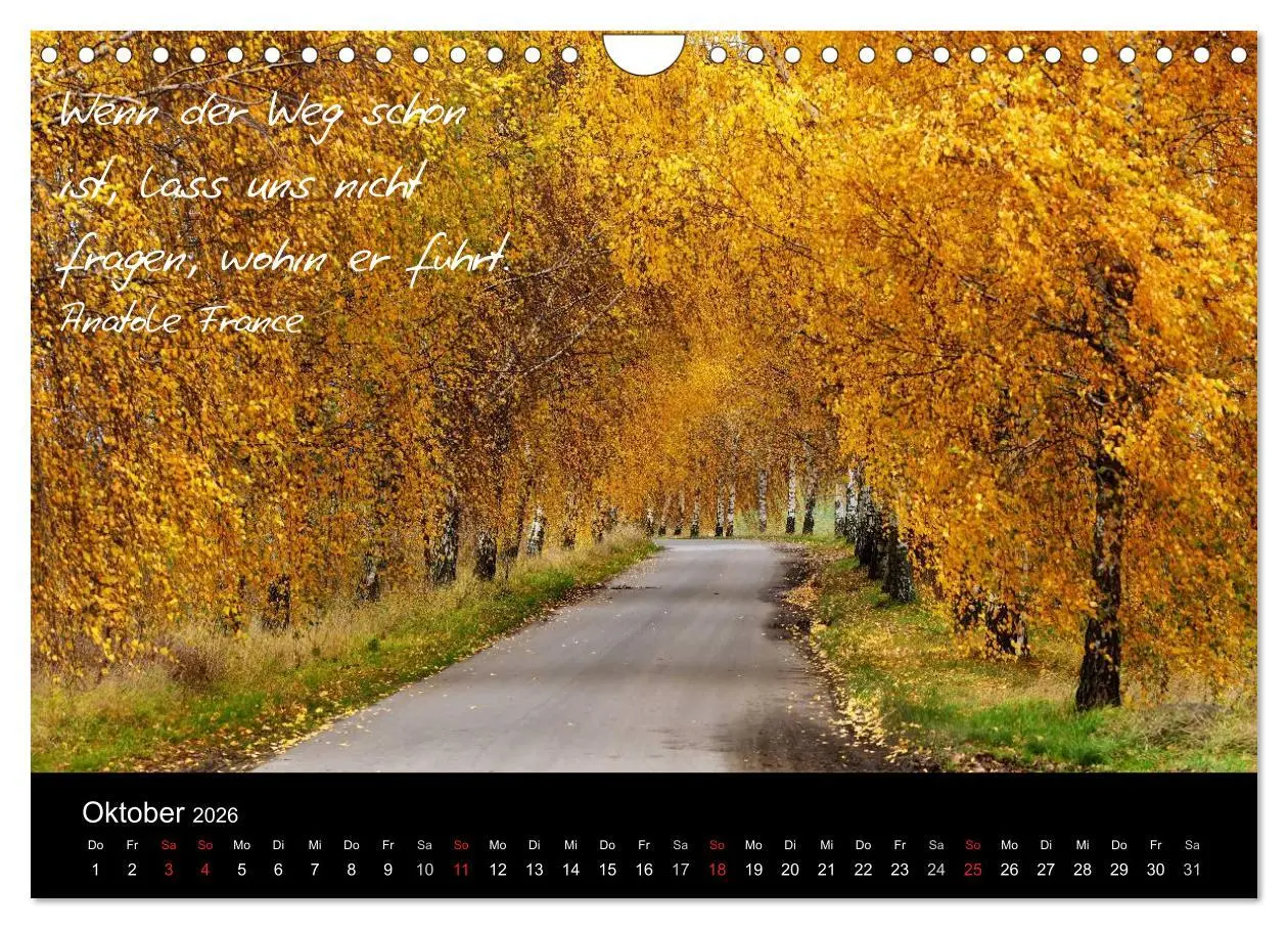 Bild: 9783516154757 | Poetische Wege (Wandkalender 2026 DIN A4 quer), CALVENDO...