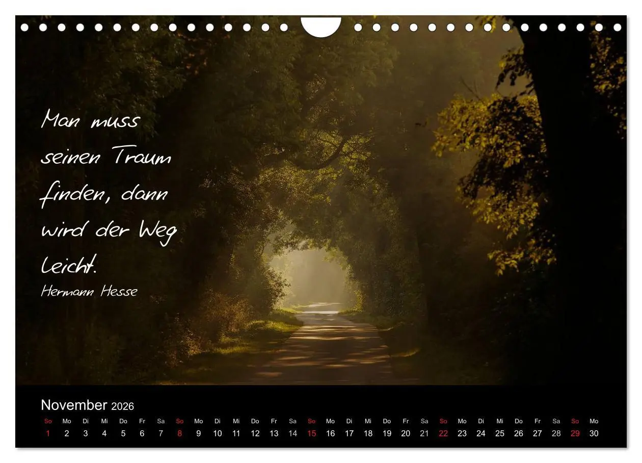 Bild: 9783516154757 | Poetische Wege (Wandkalender 2026 DIN A4 quer), CALVENDO...