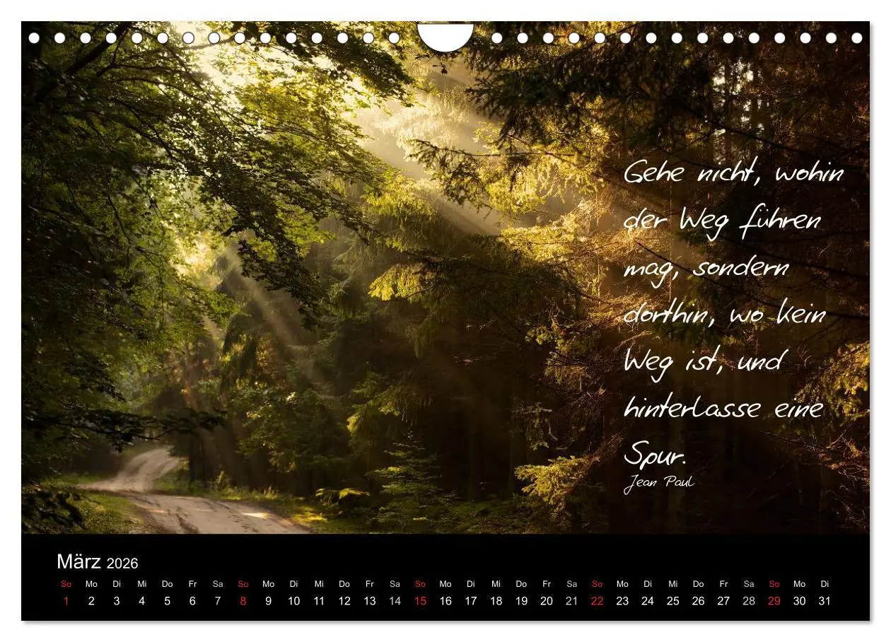 Bild: 9783516154757 | Poetische Wege (Wandkalender 2026 DIN A4 quer), CALVENDO...