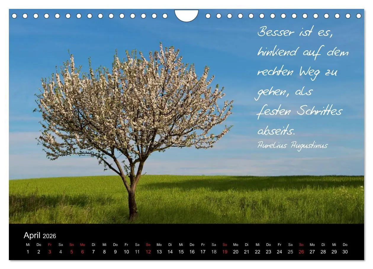 Bild: 9783516154757 | Poetische Wege (Wandkalender 2026 DIN A4 quer), CALVENDO...