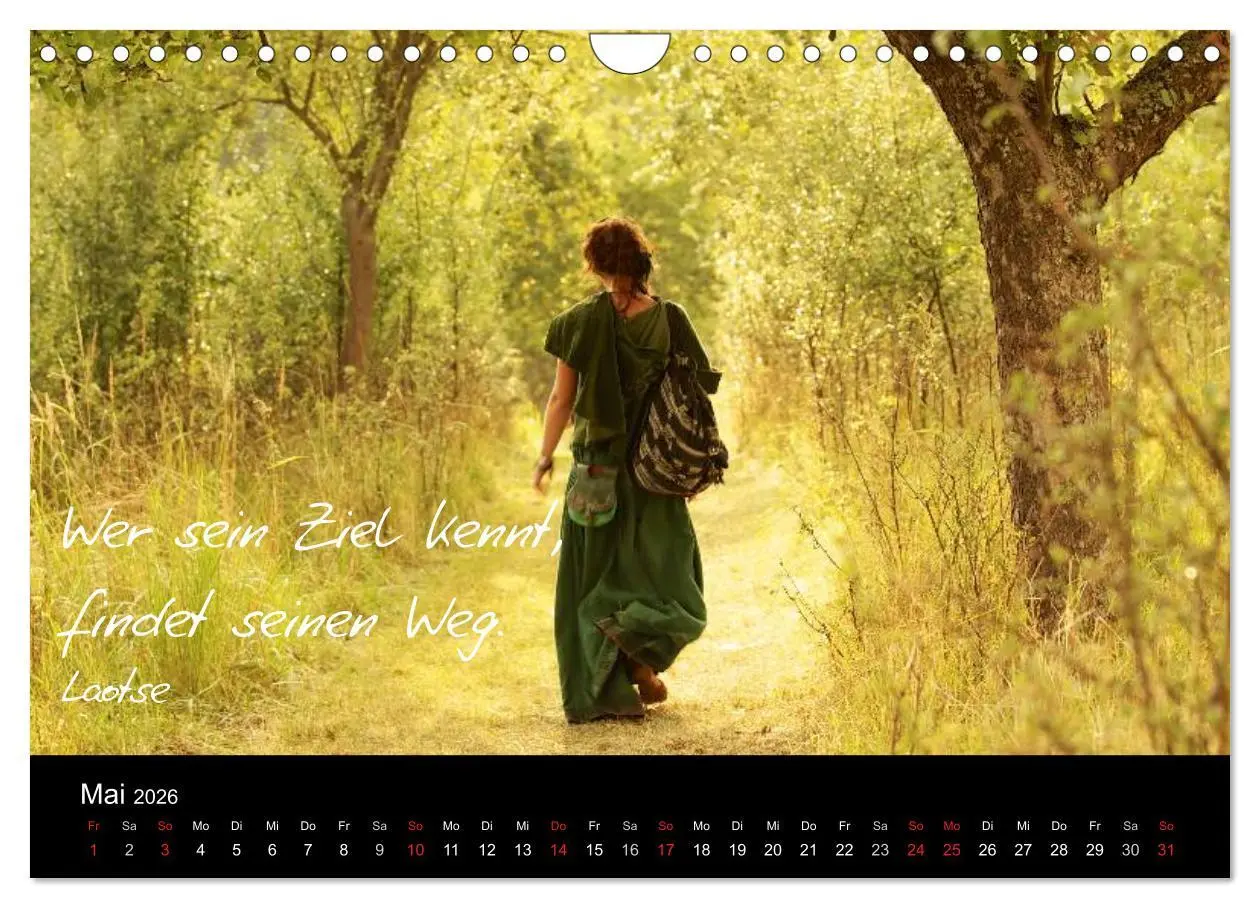 Bild: 9783516154757 | Poetische Wege (Wandkalender 2026 DIN A4 quer), CALVENDO...