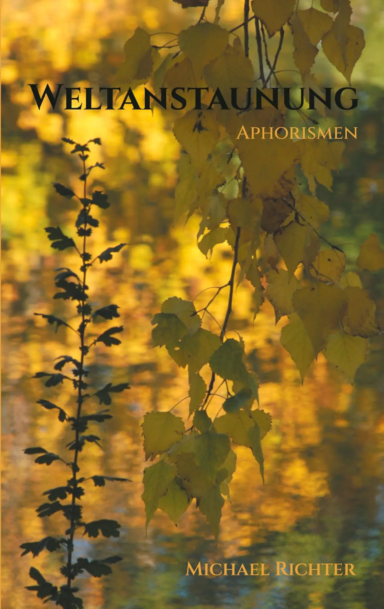 Cover: 9783753454757 | Weltanstaunung | Aphorismen | Michael Richter | Taschenbuch | 130 S.
