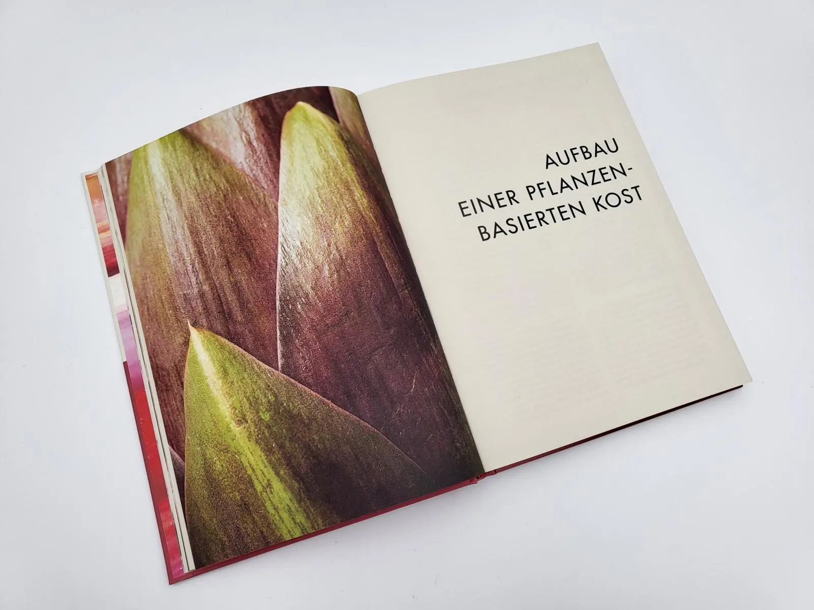 Bild: 9783827014757 | Deliciously Ella. How To Go Plant-Based | Ella Mills | Buch | 288 S.
