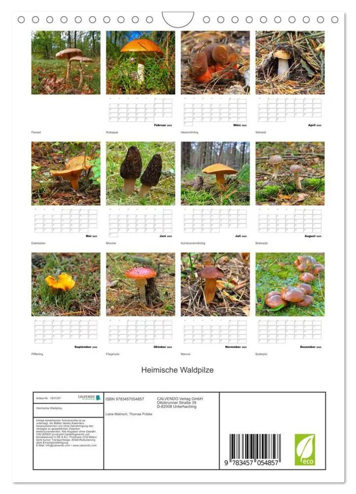 Bild: 9783457054857 | Heimische Waldpilze (Wandkalender 2025 DIN A4 hoch), CALVENDO...