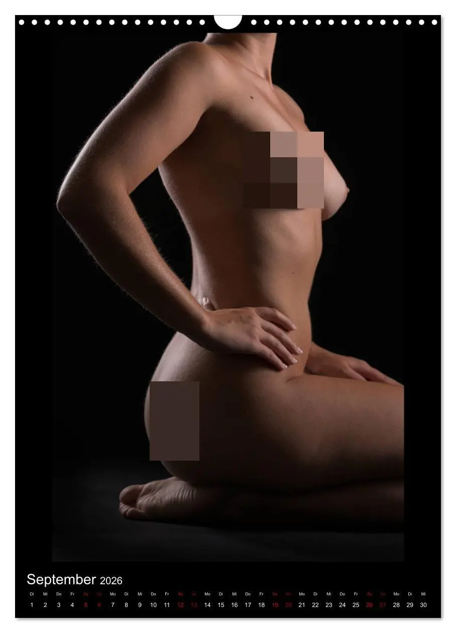 Bild: 9783516384857 | Ein Lichtstrahl wirft auch Schatten! (Wandkalender 2026 DIN A3...