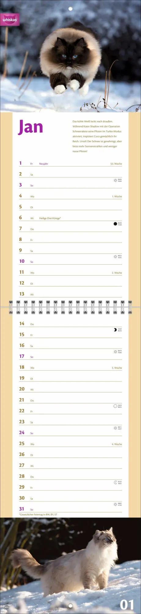 Bild: 9783756414857 | Whiskas Katzenleben Kalender 2027 | Heye | Kalender | Spiralbindung