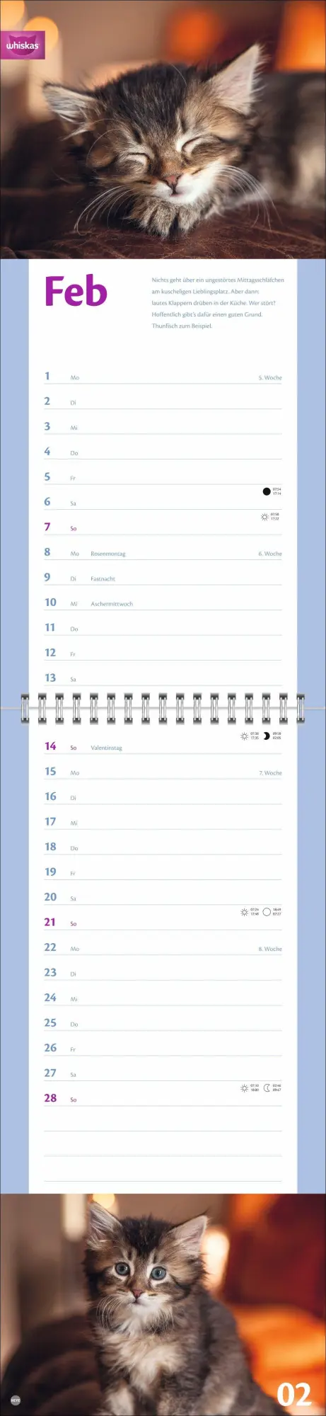Bild: 9783756414857 | Whiskas Katzenleben Kalender 2027 | Heye | Kalender | Spiralbindung