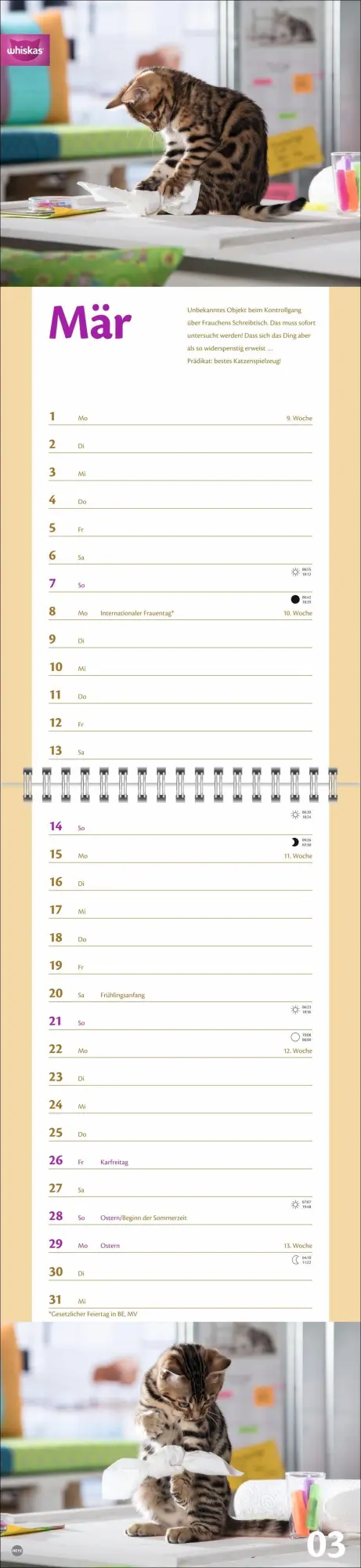 Bild: 9783756414857 | Whiskas Katzenleben Kalender 2027 | Heye | Kalender | Spiralbindung