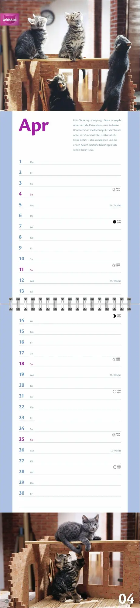 Bild: 9783756414857 | Whiskas Katzenleben Kalender 2027 | Heye | Kalender | Spiralbindung