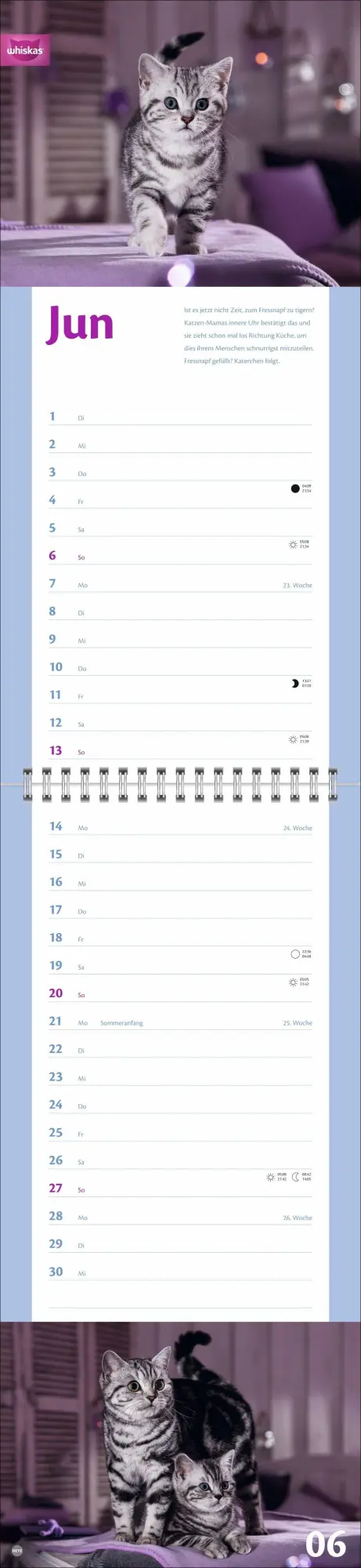 Bild: 9783756414857 | Whiskas Katzenleben Kalender 2027 | Heye | Kalender | Spiralbindung