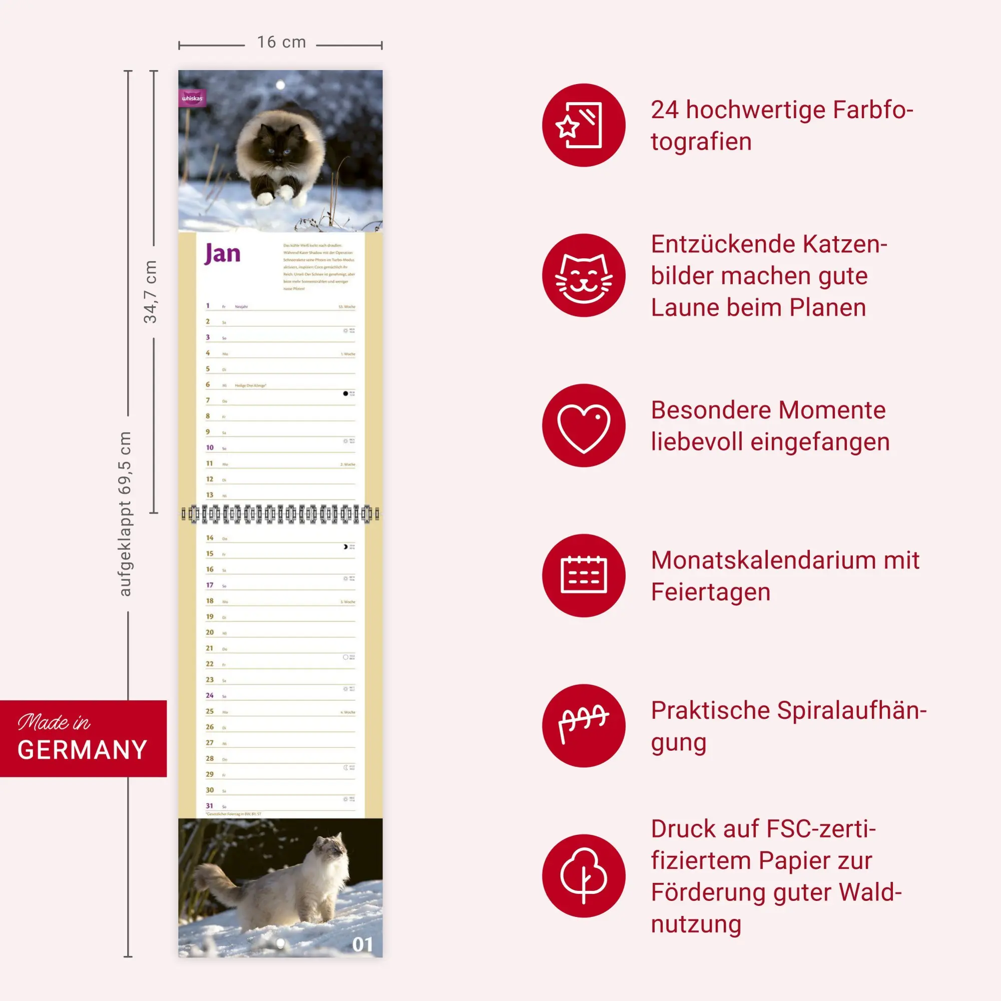 Bild: 9783756414857 | Whiskas Katzenleben Kalender 2027 | Heye | Kalender | Spiralbindung