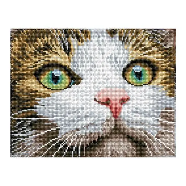 Cover: 4895225915057 | Diamond Dotz Katze mit grünen Augen | Kit (Bastelset) | 2591505 | 2024