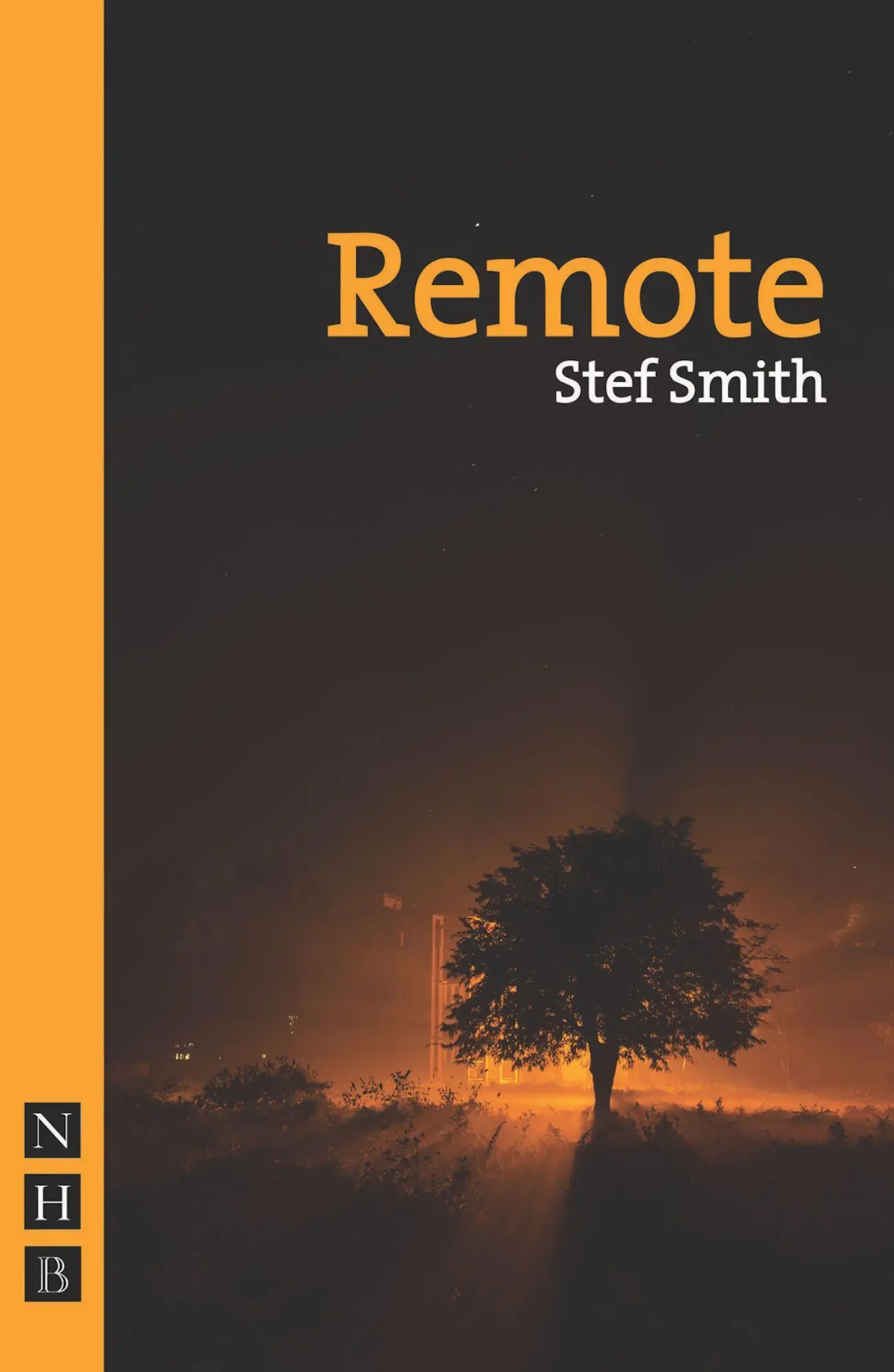 Cover: 9781848425057 | Remote | Stef Smith | Taschenbuch | Kartoniert / Broschiert | Englisch