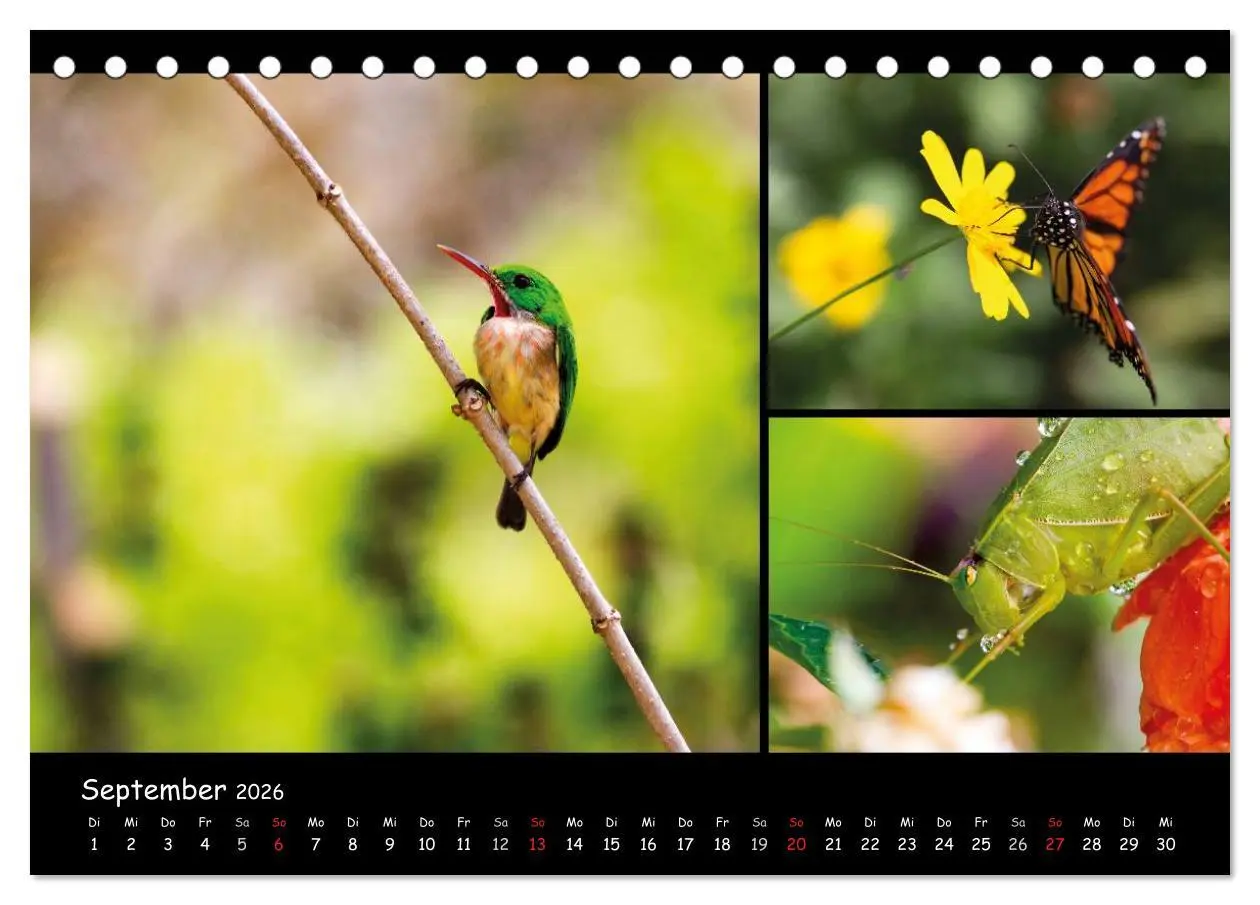 Bild: 9783516025057 | Dominikanische Republik Land &amp; Leute (Tischkalender 2026 DIN A5...