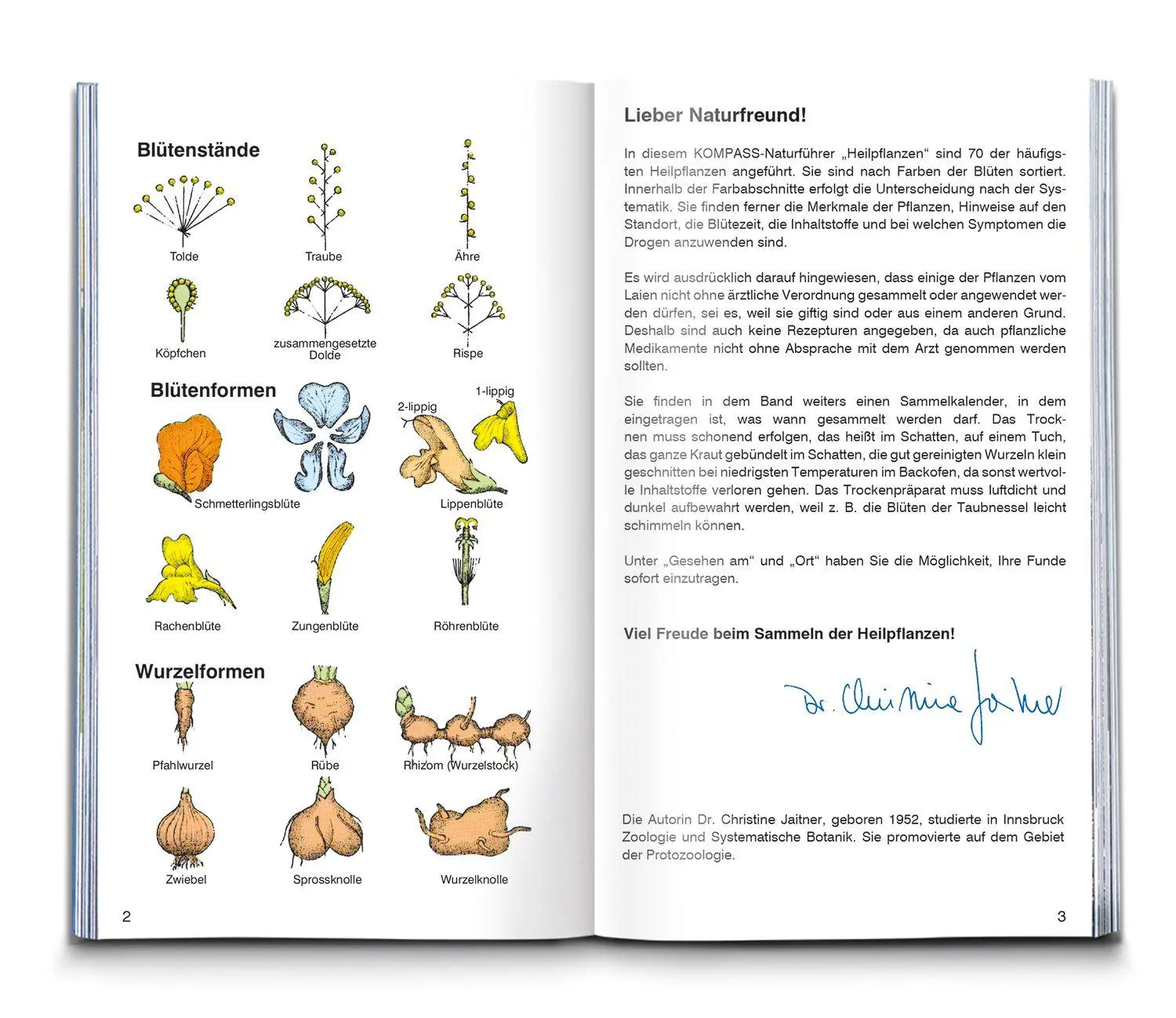 Bild: 9783991545057 | KOMPASS Naturführer Heilpflanzen, der handliche Begleiter in die Natur