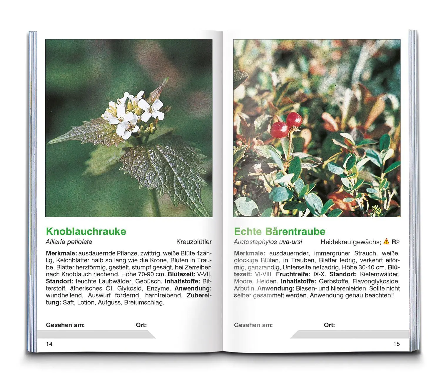 Bild: 9783991545057 | KOMPASS Naturführer Heilpflanzen, der handliche Begleiter in die Natur
