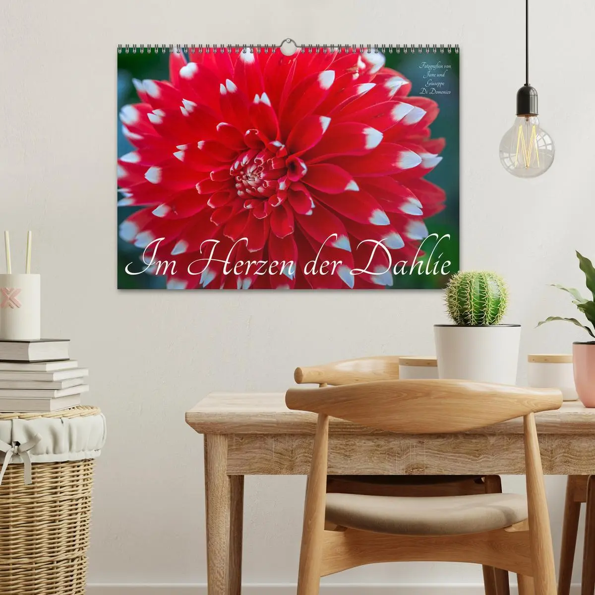 Bild: 9783457545157 | Im Herzen der Dahlie (Wandkalender 2026 DIN A3 quer), CALVENDO...