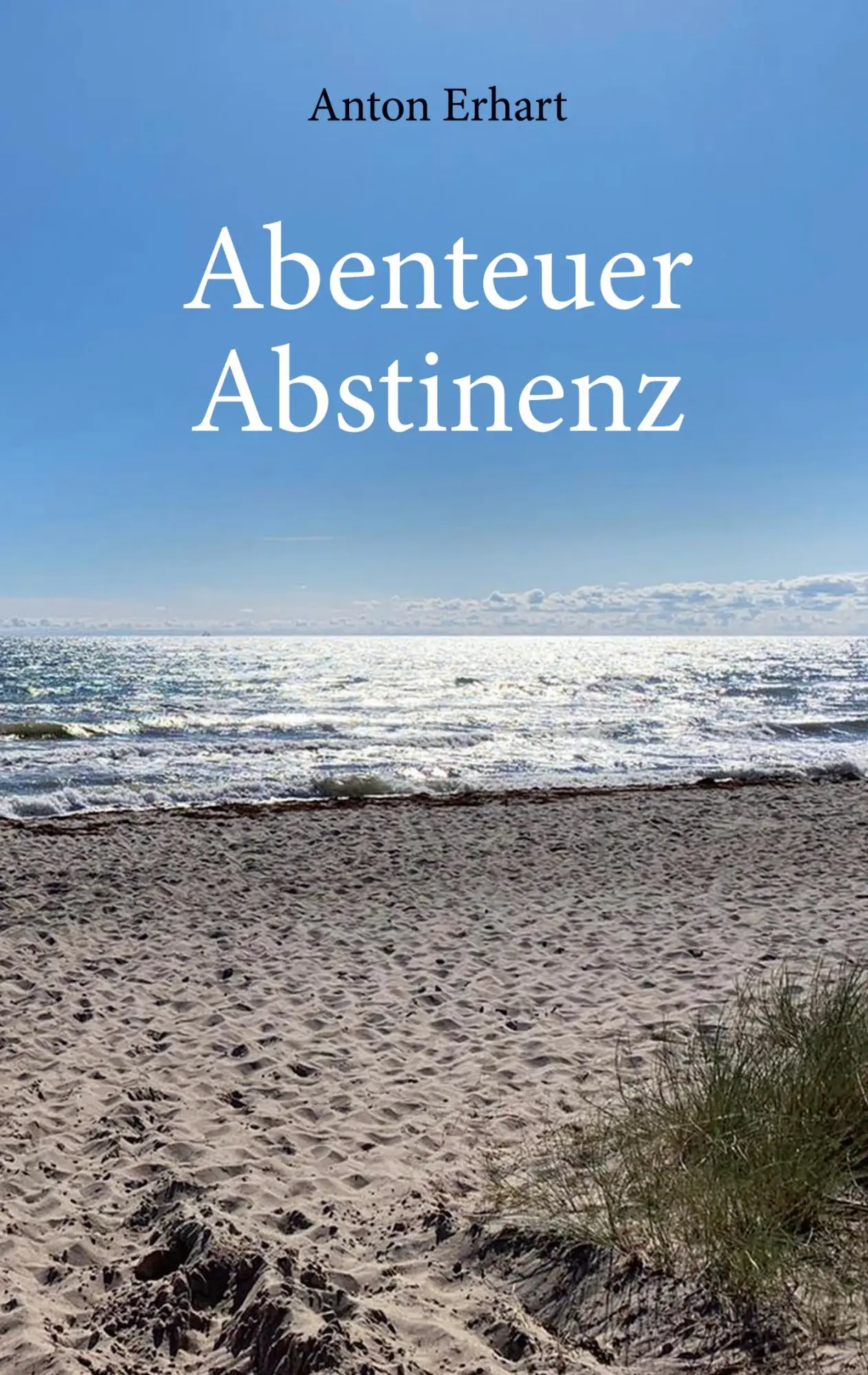 Cover: 9783753485157 | Abenteuer Abstinenz | Anton Erhart | Taschenbuch | Paperback | 112 S.