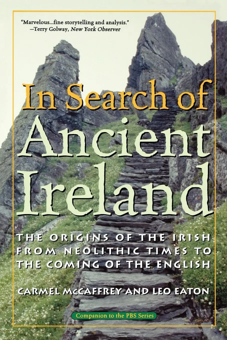 Cover: 9781566635257 | In Search of Ancient Ireland | Carmel McCaffrey (u. a.) | Taschenbuch