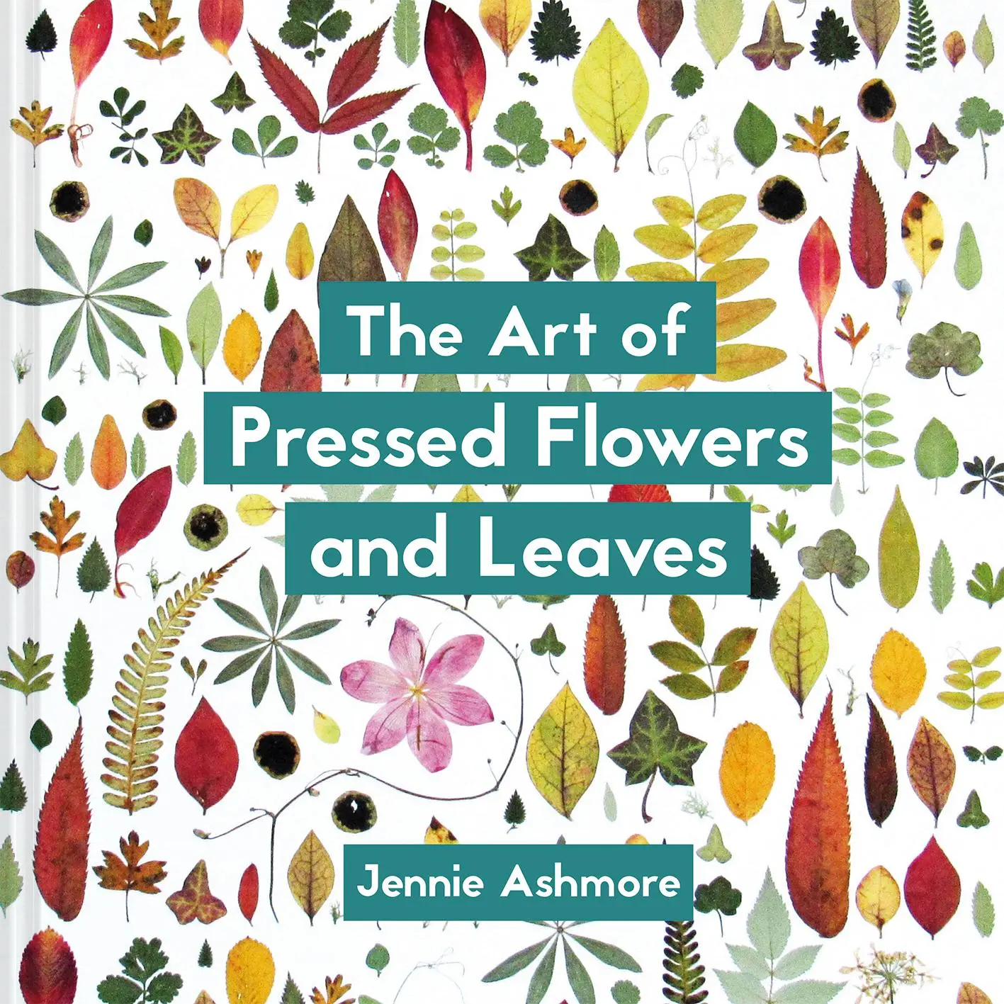 Cover: 9781849945257 | The Art of Pressed Flowers and Leaves | Jennie Ashmore | Taschenbuch