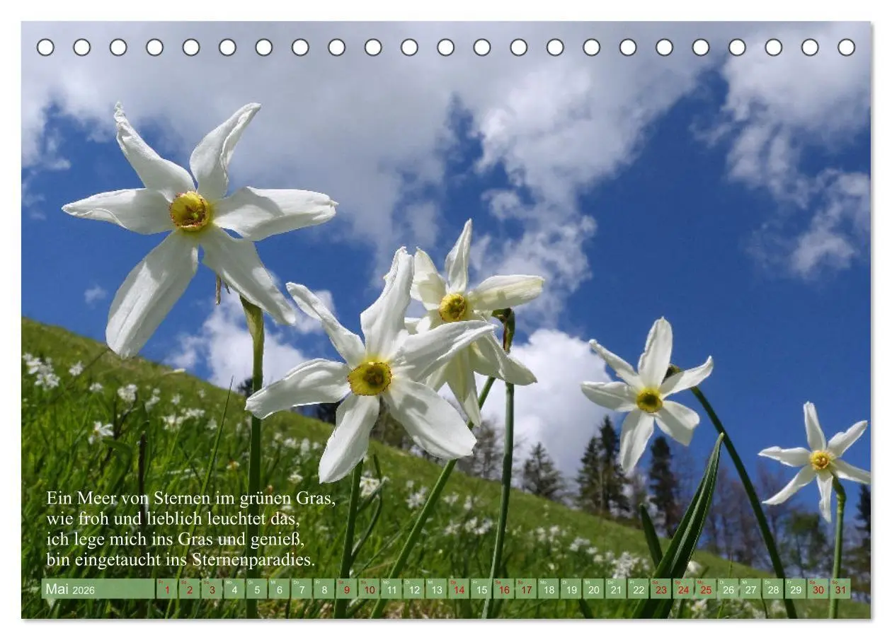 Bild: 9783457535257 | Naturschönheiten und Poesie in Kärnten und Umgebung (Tischkalender...