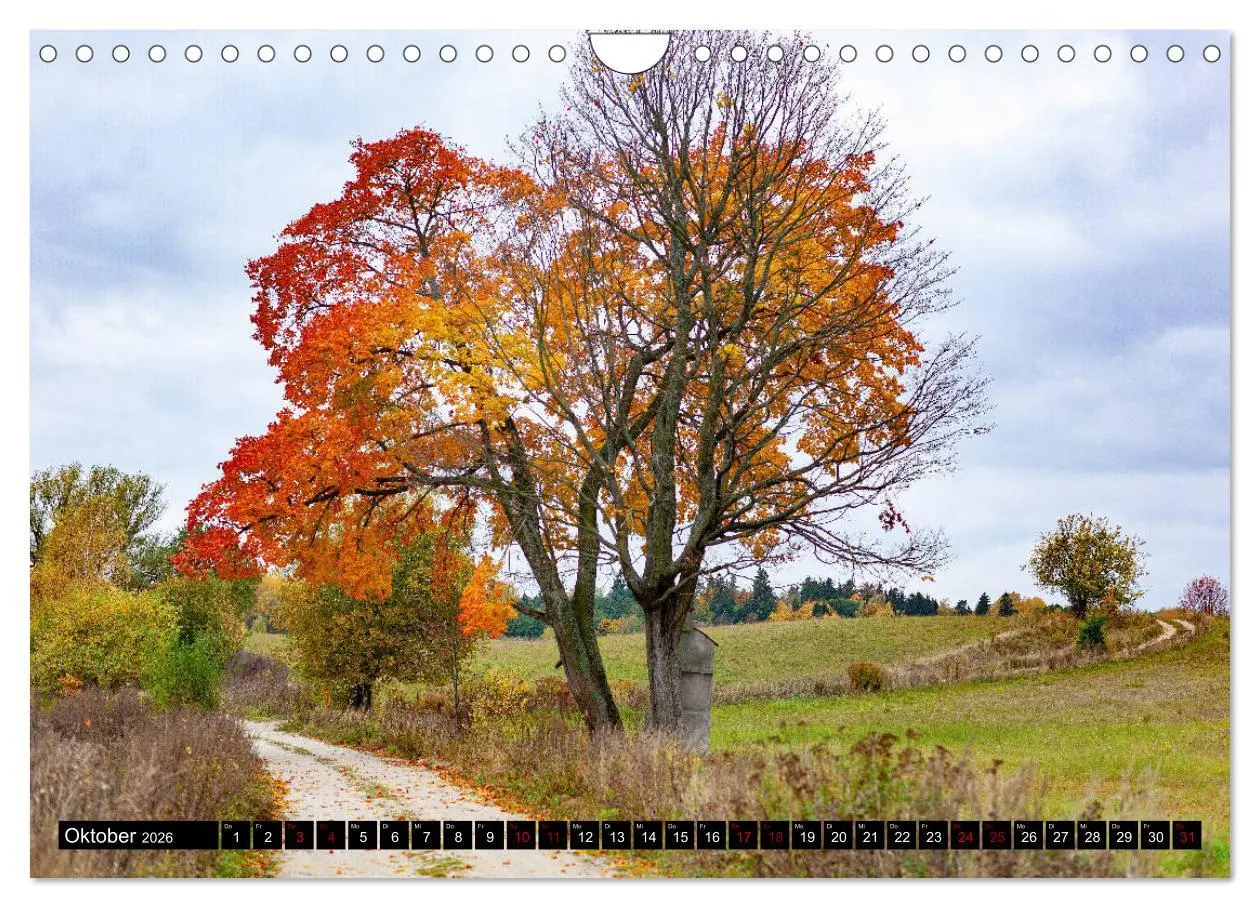 Bild: 9783457775257 | ERMLAND MASUREN (Wandkalender 2026 DIN A4 quer), CALVENDO...