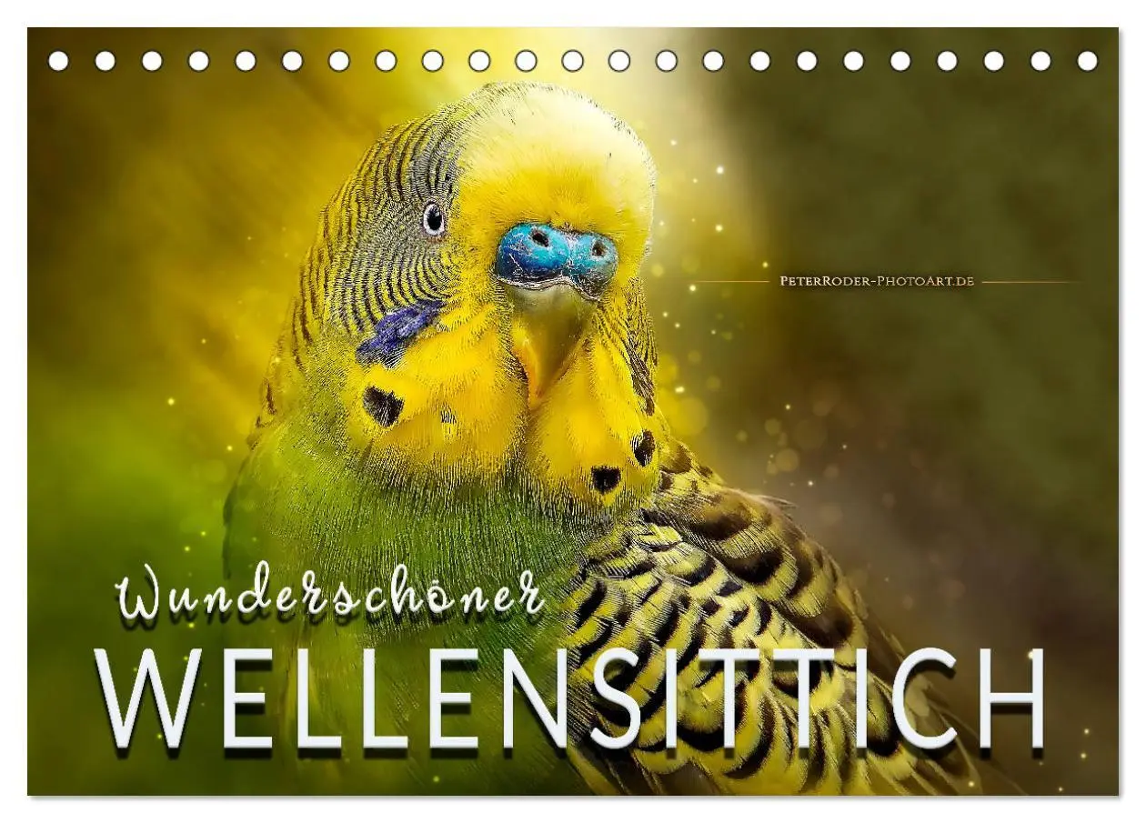 Cover: 9783457845257 | Wunderschöner Wellensittich (Tischkalender 2026 DIN A5 quer),...