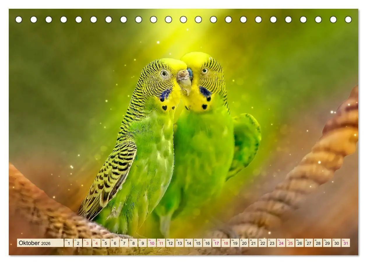 Bild: 9783457845257 | Wunderschöner Wellensittich (Tischkalender 2026 DIN A5 quer),...