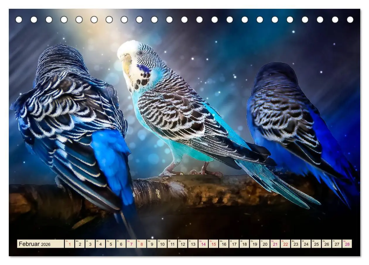 Bild: 9783457845257 | Wunderschöner Wellensittich (Tischkalender 2026 DIN A5 quer),...