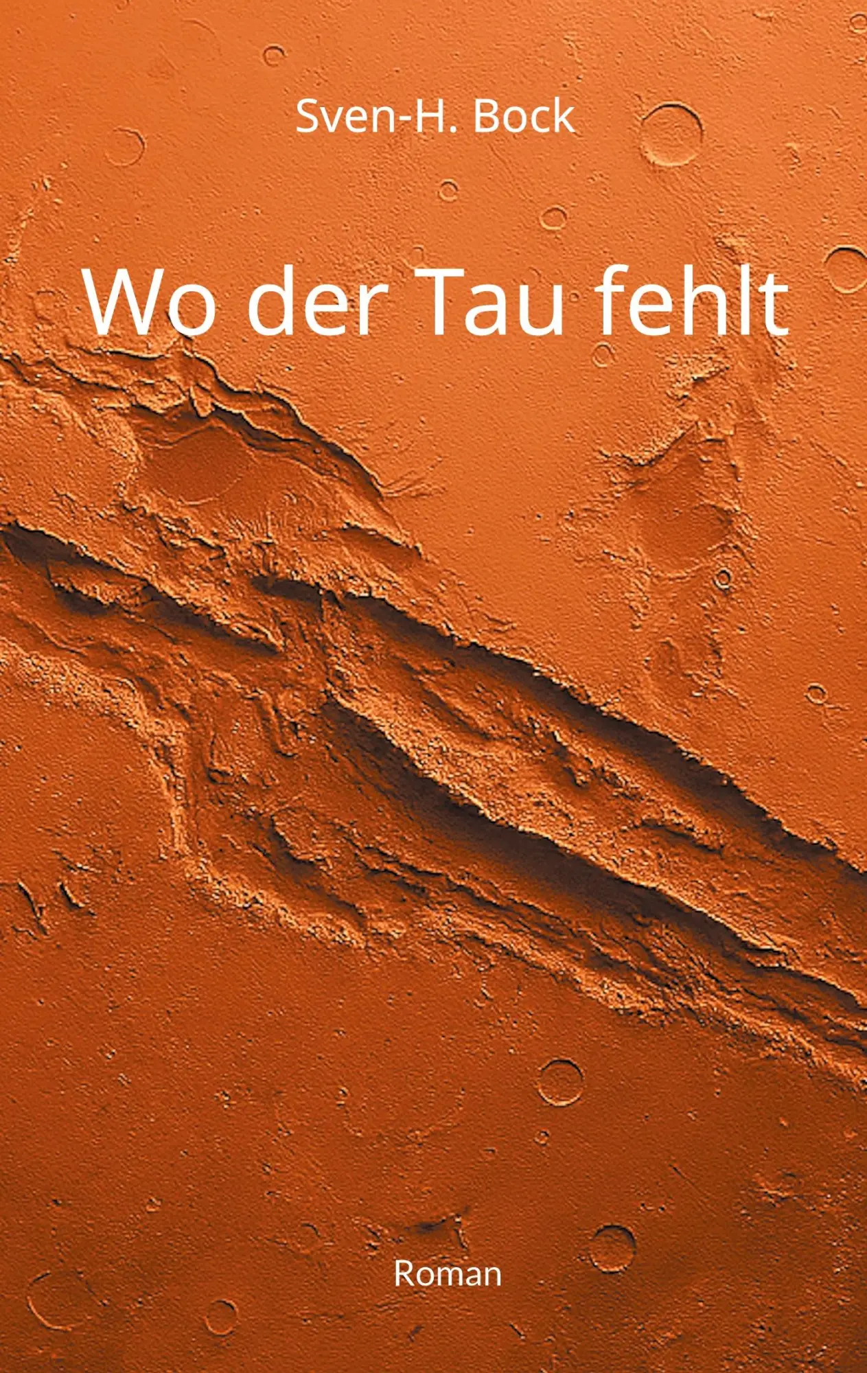 Cover: 9783695135257 | Wo der Tau fehlt | Sven-H. Bock | Taschenbuch | 380 S. | Deutsch