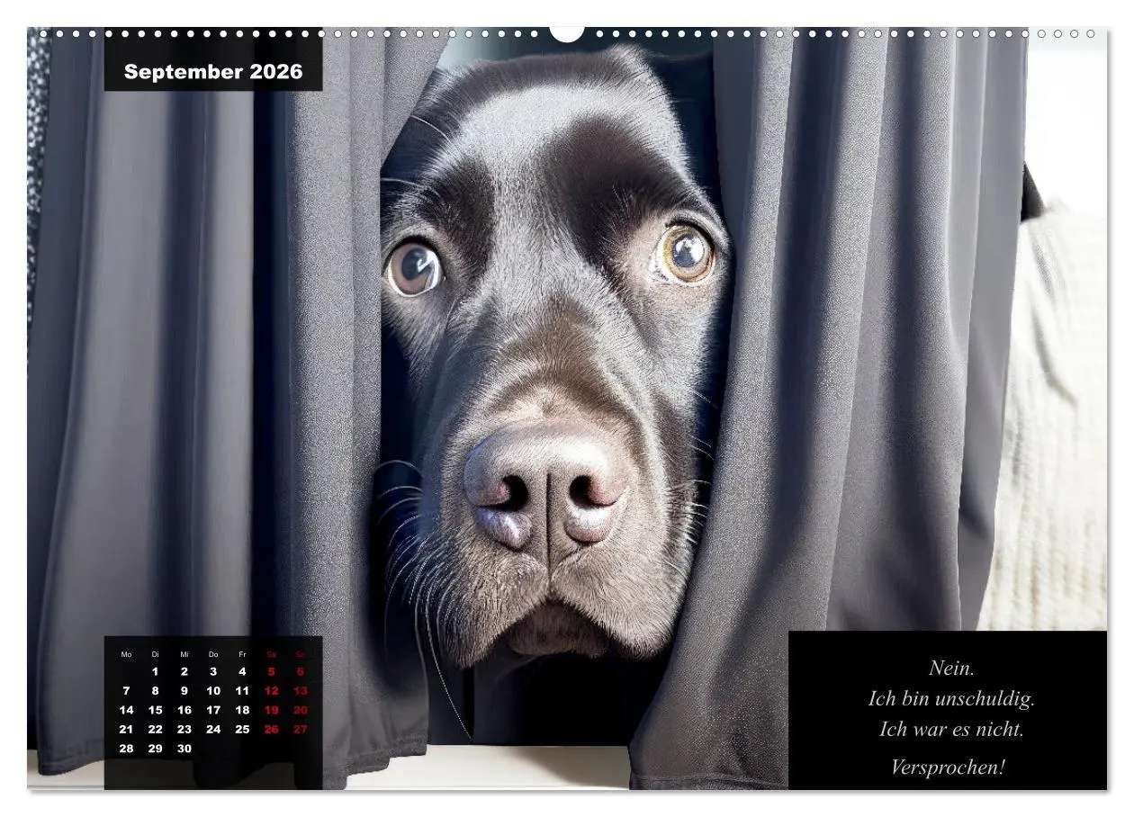 Bild: 9783457385357 | Der witzige Labrador-Kalender (hochwertiger Premium Wandkalender...