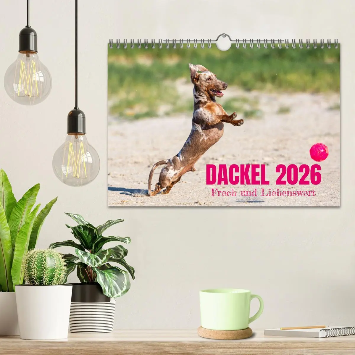 Bild: 9783516165357 | DACKEL 2026 Frech und Liebenwert (Wandkalender 2026 DIN A4 quer),...