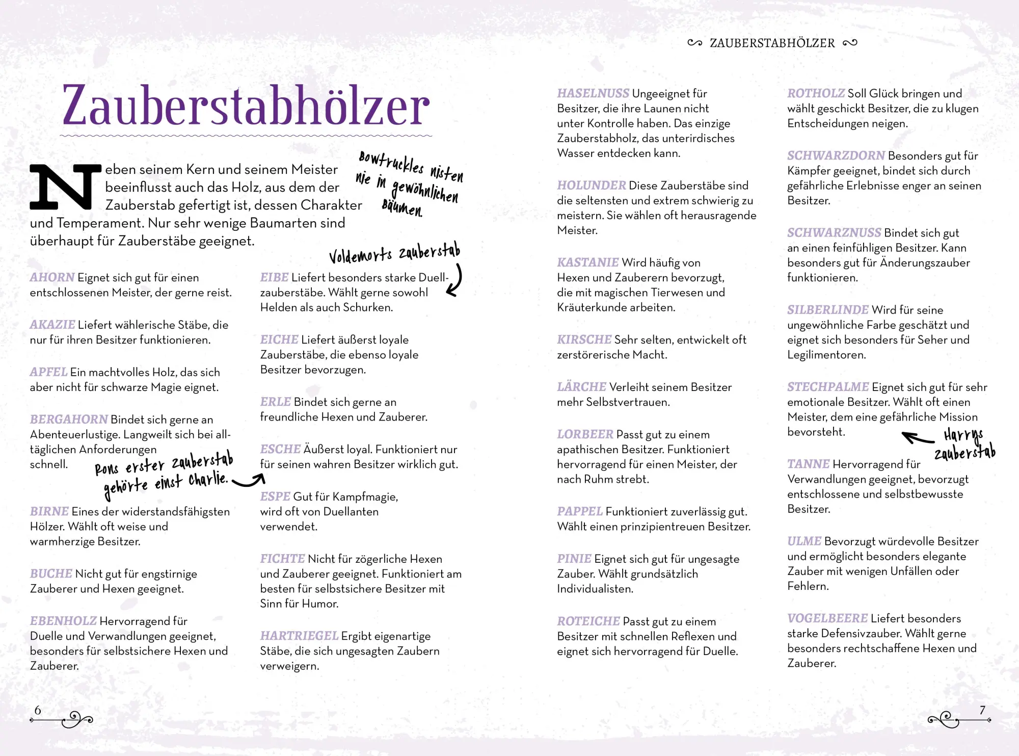 Bild: 9783742325457 | Das große Buch der Zaubersprüche und magischen Gegenstände für...
