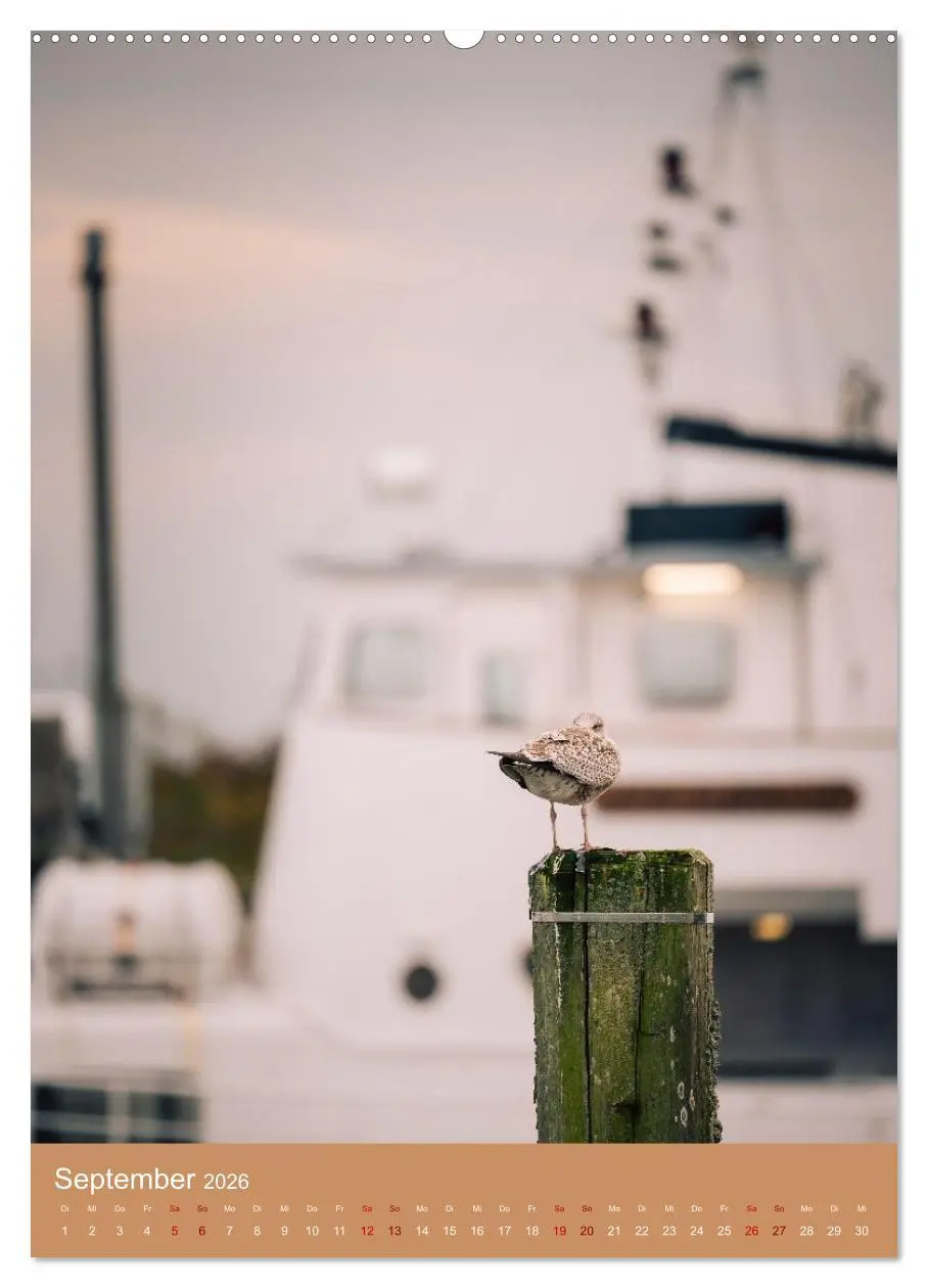 Bild: 9783457295557 | Schönes Hooksiel (Wandkalender 2026 DIN A2 hoch), CALVENDO...