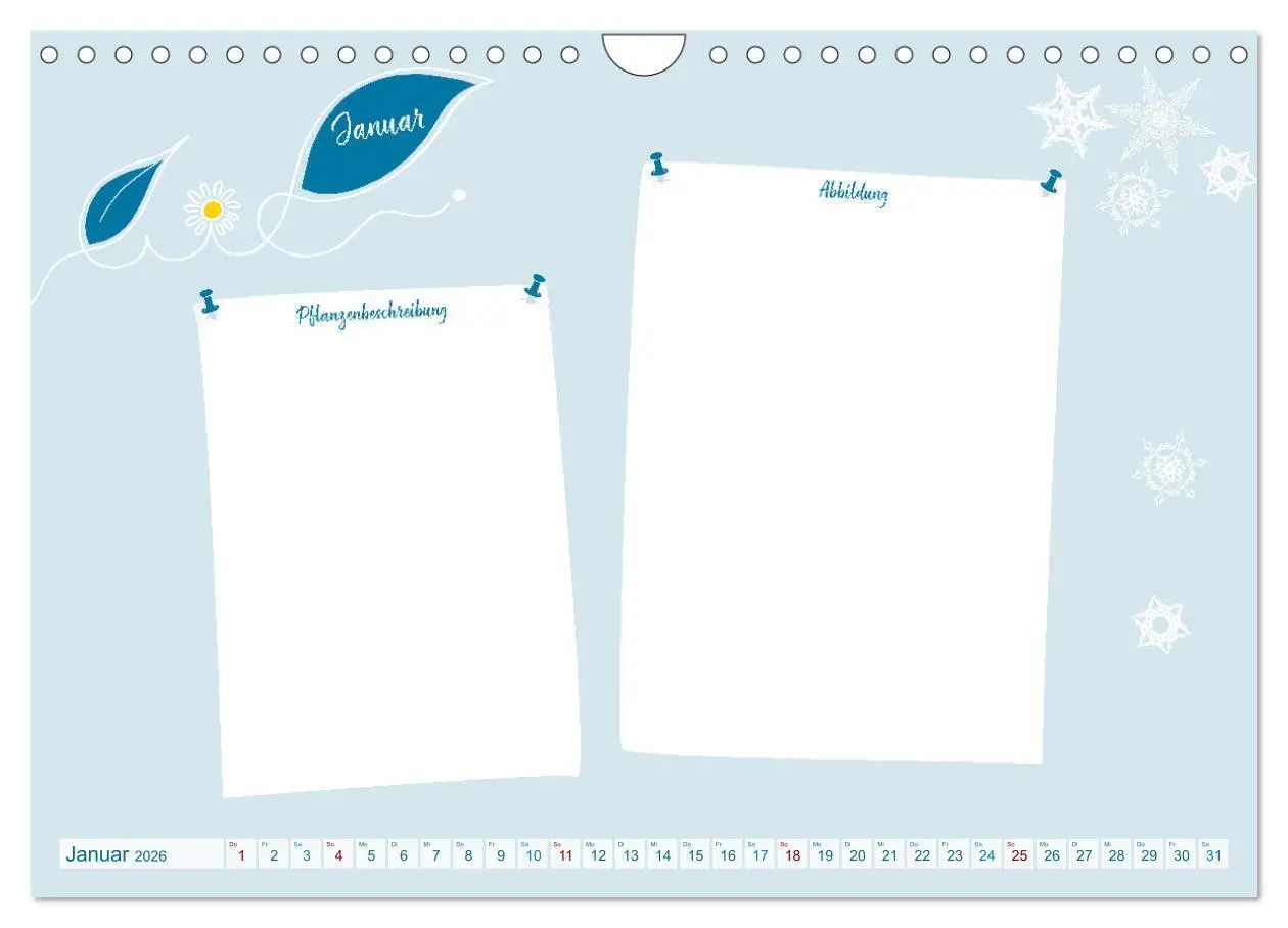 Bild: 9783457365557 | 12 x Pflanzenkunde - Bastelkalender (Wandkalender 2026 DIN A4...
