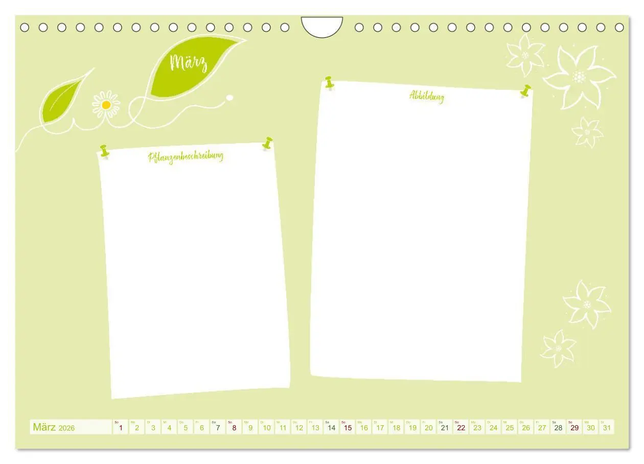 Bild: 9783457365557 | 12 x Pflanzenkunde - Bastelkalender (Wandkalender 2026 DIN A4...