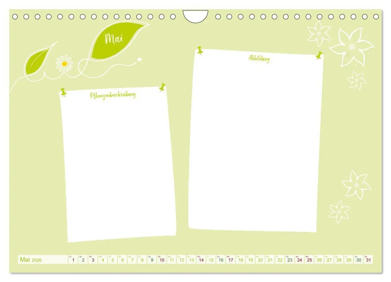 Bild: 9783457365557 | 12 x Pflanzenkunde - Bastelkalender (Wandkalender 2026 DIN A4...