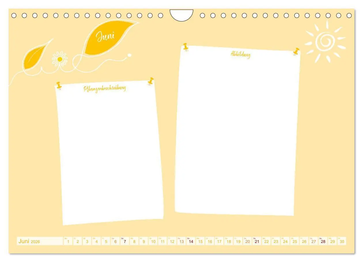 Bild: 9783457365557 | 12 x Pflanzenkunde - Bastelkalender (Wandkalender 2026 DIN A4...