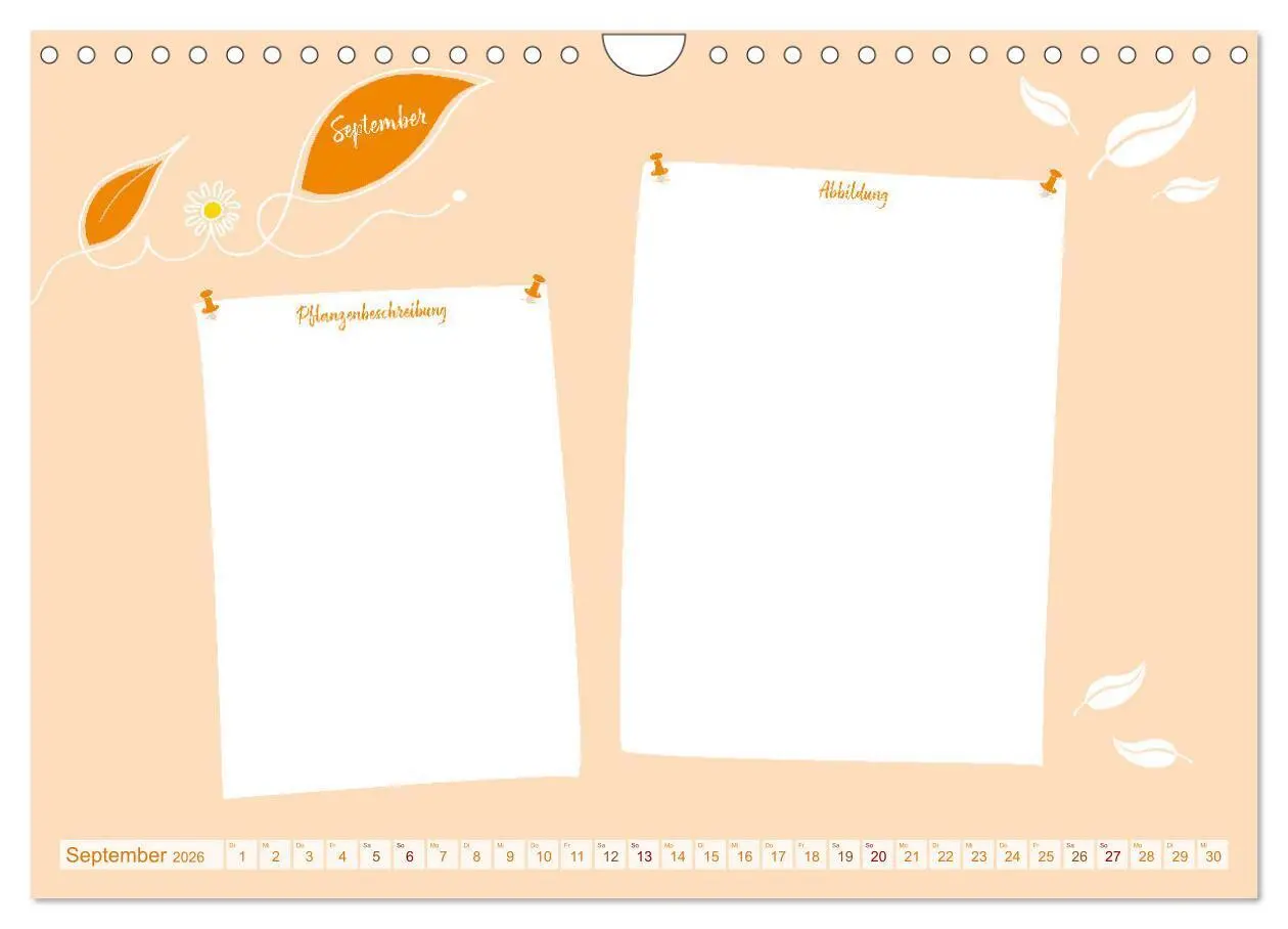 Bild: 9783457365557 | 12 x Pflanzenkunde - Bastelkalender (Wandkalender 2026 DIN A4...