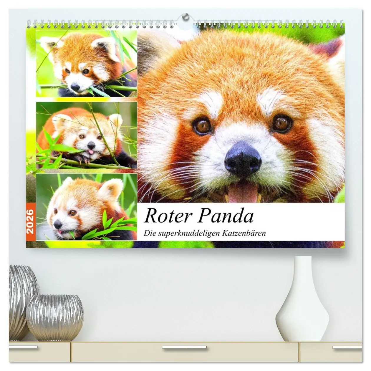 Cover: 9783457675557 | Roter Panda. Die superknuddeligen Katzenbären (hochwertiger Premium...